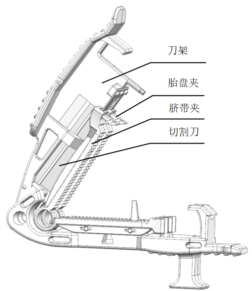 6a6319189fb8f.png 图片1.png