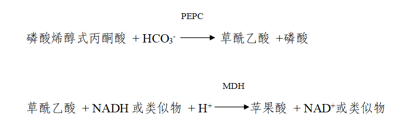6a69b0ae98347.png 6a69b0ae98347.png