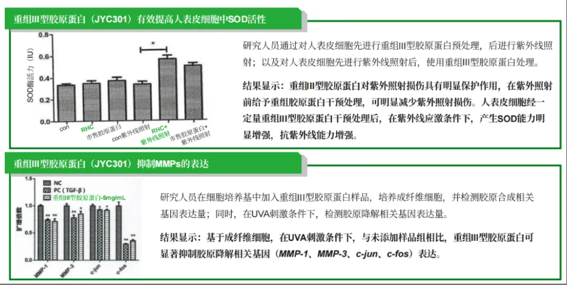 681dbd8a4b542.png
