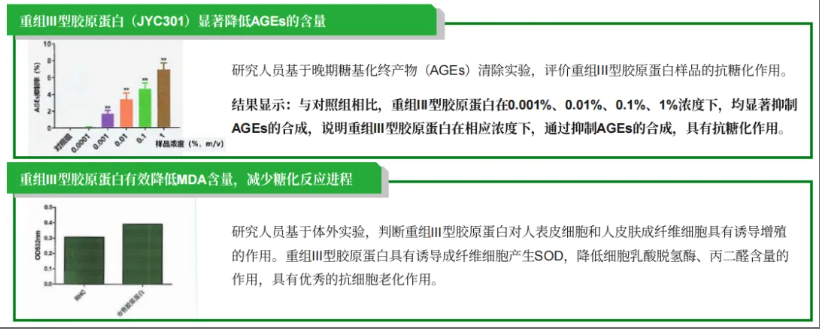 681dbd8f2f05d.png