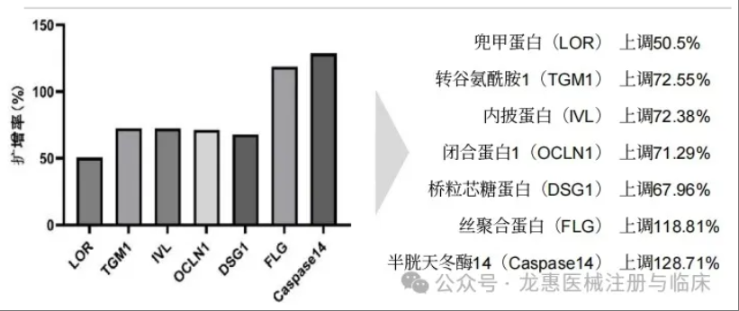 681dbd9c86353.png