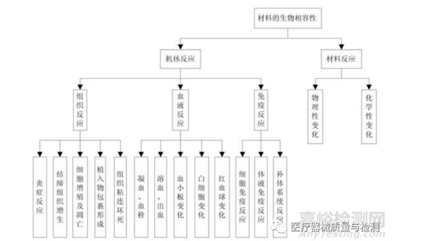 68c7a8147148e.png